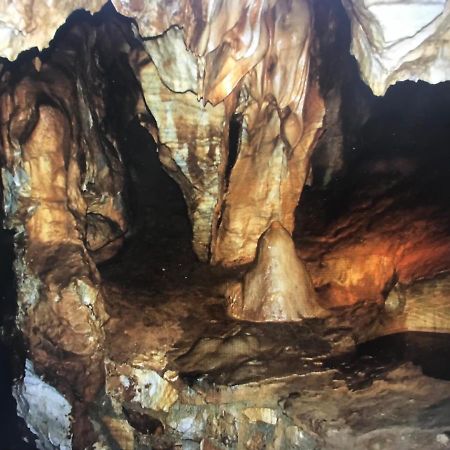 Loučná nad DesnouApartman 21アパートメント エクステリア 写真