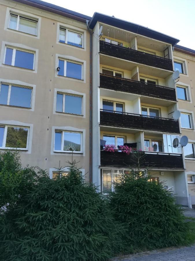 Loučná nad DesnouApartman 21アパートメント エクステリア 写真
